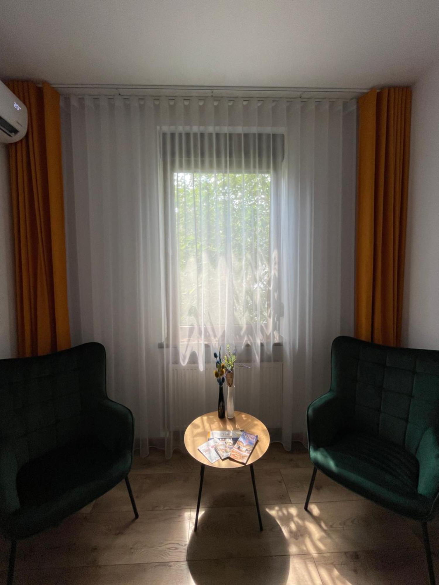 Gizell Apartment 2 シビウ エクステリア 写真